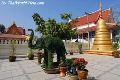 Thai elephant