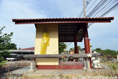 Mae Takhian tree