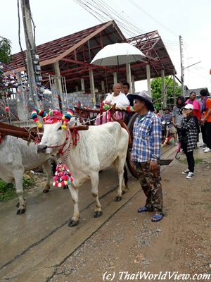 Festive parade