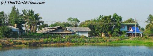 Village landscape