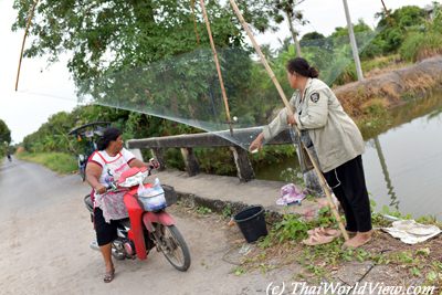 Catching fish