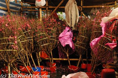 Flower market