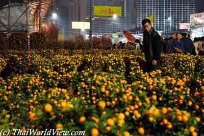 Flower market