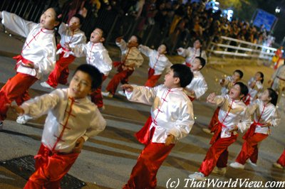 Chinese New Year Night Parade