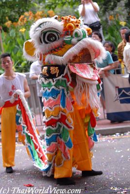 Lion dance