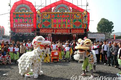 Lion dance