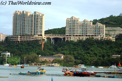 Dragon Boat festival in Tai Tam