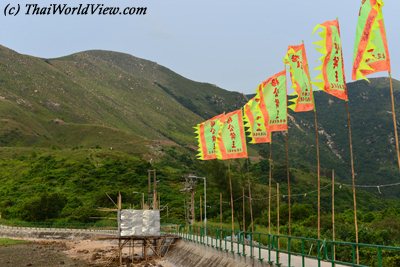 Hau Wong festival