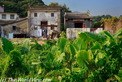 Fung Yuen old houses