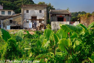 Fung Yuen old houses