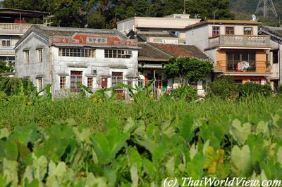 Along Fanling highway