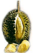 Durian