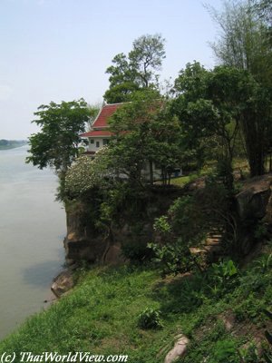 Forest temple