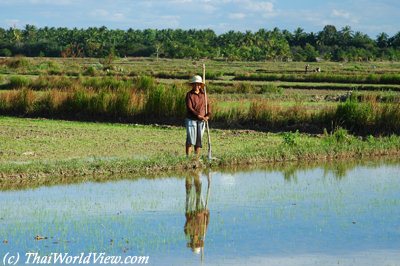 Northeastern farmer