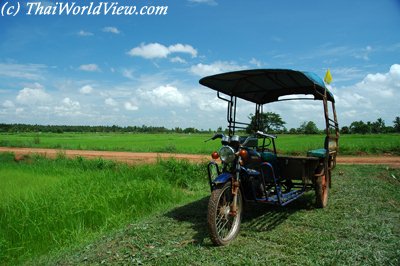 Local Tuk Tuk