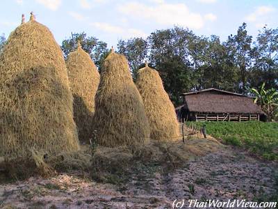 Farmer house