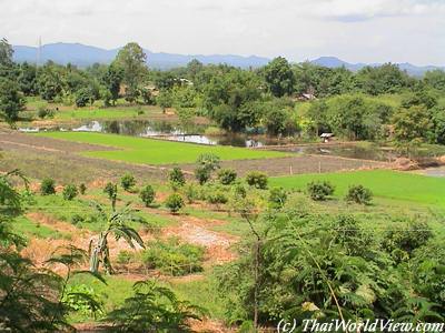 Isan landscapes