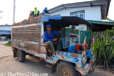 Northeastern farmers