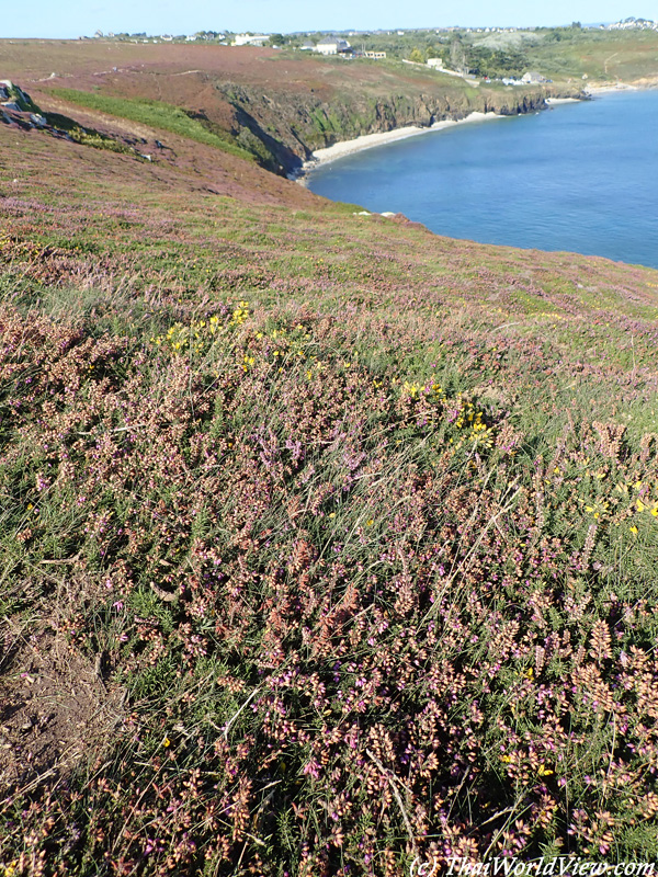 Nature - Pointe de Pen-Hir