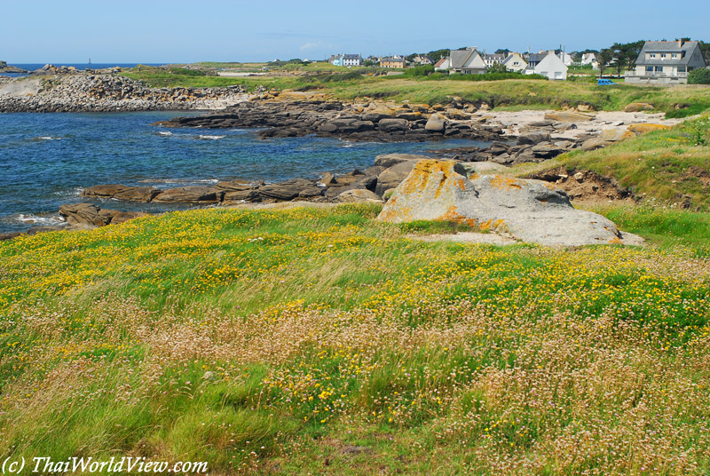 Brittany Coast - Lanildut