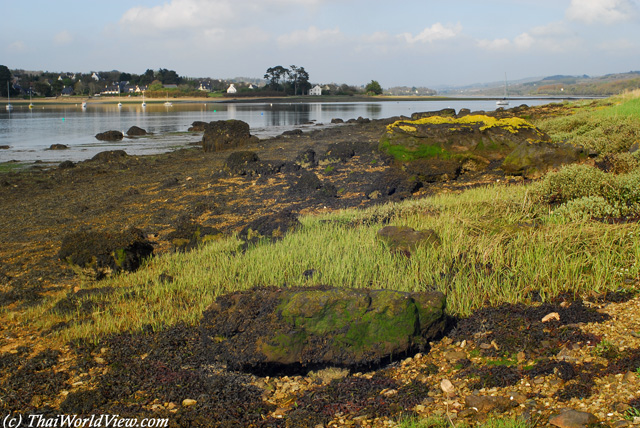 Elorn river - Plougastel-Daoulas