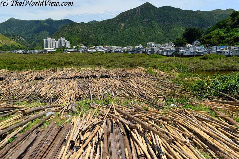 Bamboo poles - Tai O