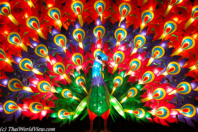 Lantern Festival - Kowloon park