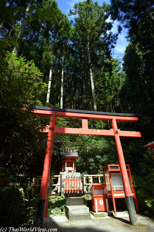 Forest - Fukuoka