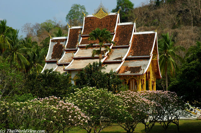 Palace Museum - The National Museum