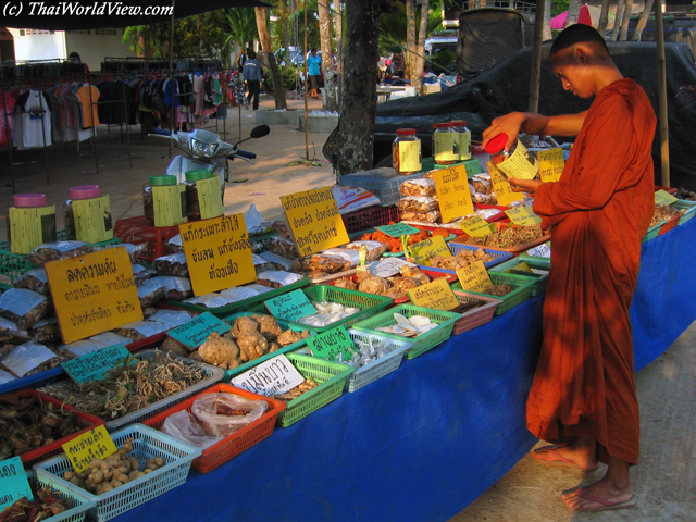 Thai Monk - Wat Nam Mong - Nongkhai province