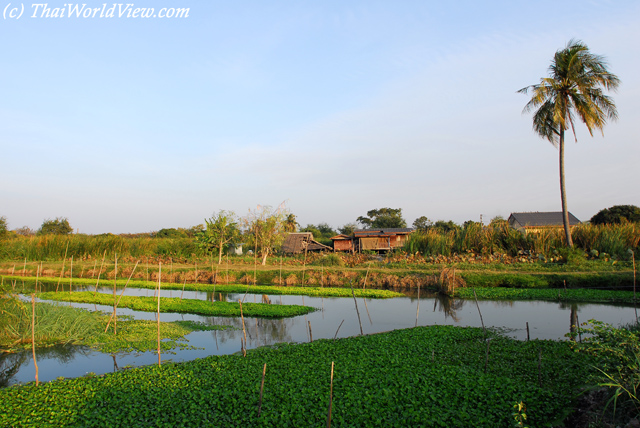 Canal - Nakhon Pathom