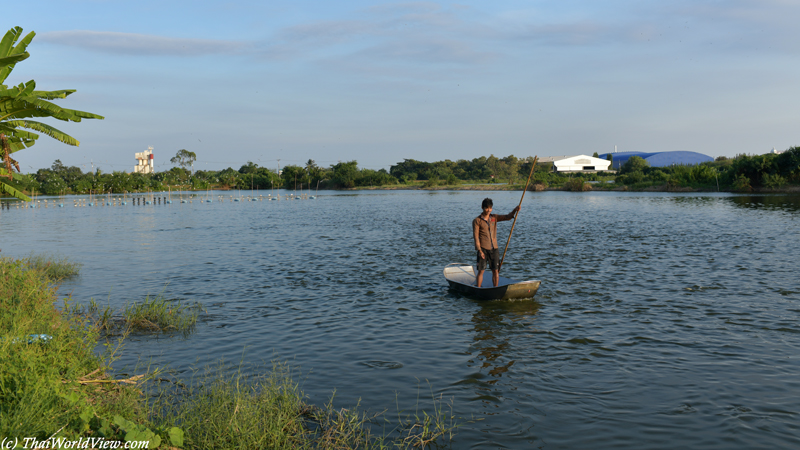 Fish pond - Nakhon Pathom