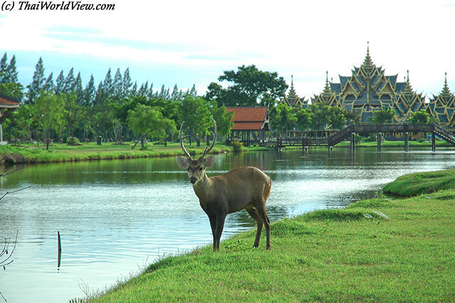 Ancient City - Samut Prakan