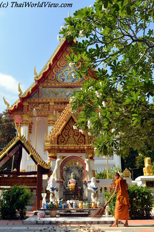 Buddhist novice - Yasothon