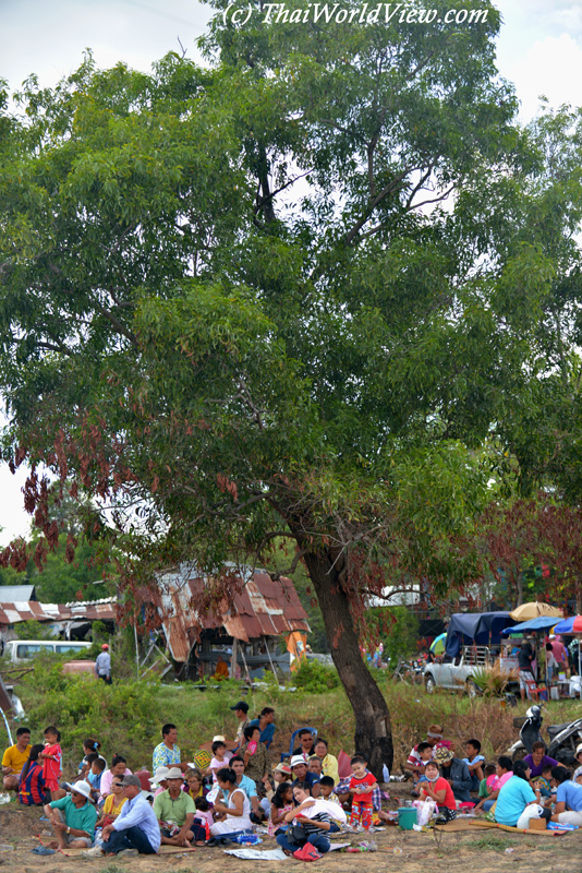 Tree - Yasothon