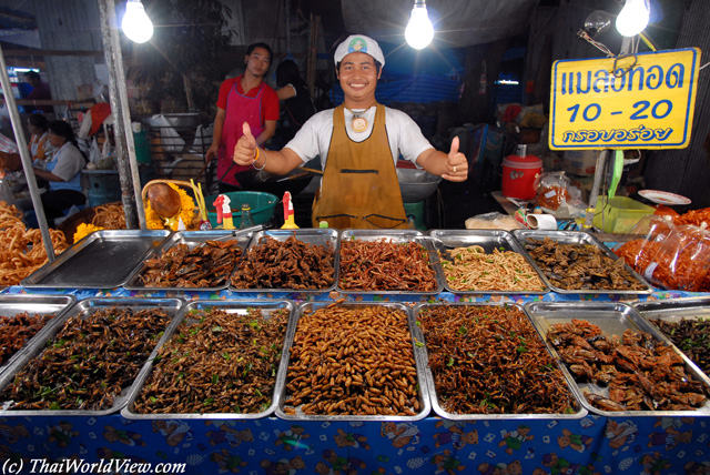 Bug seller - Nakhon Pathom