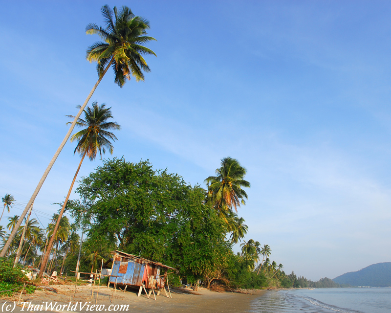 Aow Mae Rum Pueng - Bang Saphan