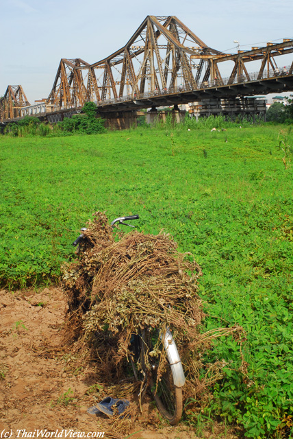 Long Bien Bridge - Across the Red River