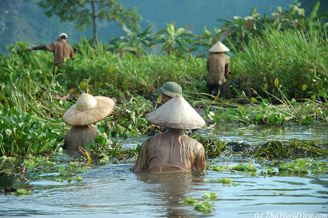 Day River - Perfume pagoda