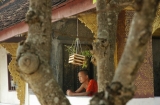 Buddhist novice