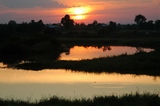 Sunset over pond