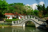 Chinese garden