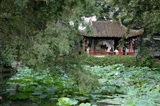 Suzhou garden