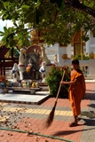 Buddhist novice