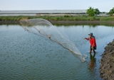 Fisherman