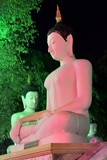 Buddha statues