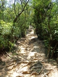 Hiking trail