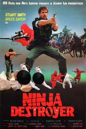 Ninja Destroyer