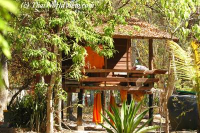 Monk hut in forest temple