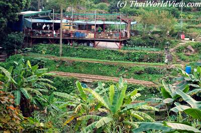 Countryside near Wat Mekthumvanaram